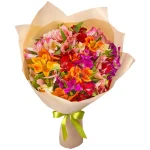 25 ярких аьстромерий