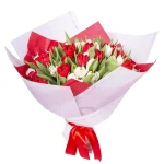Букет из 51 тюльпана красно-белый микс